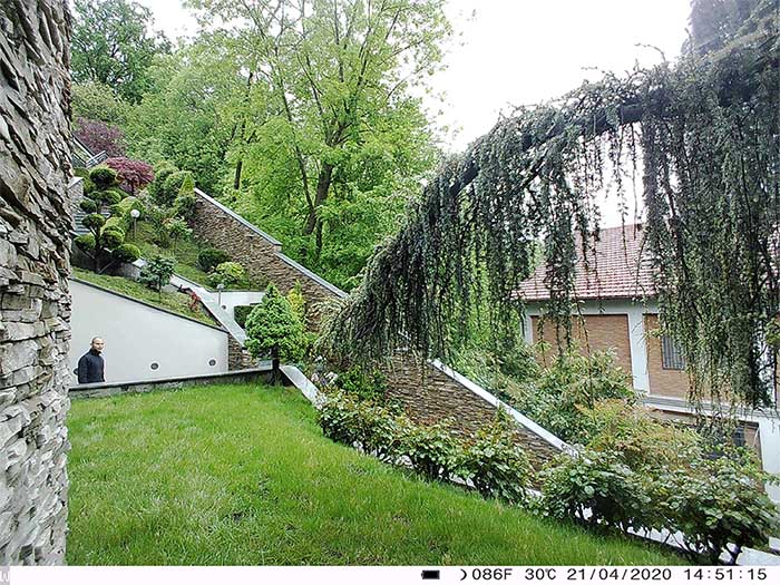 Trial camera picture